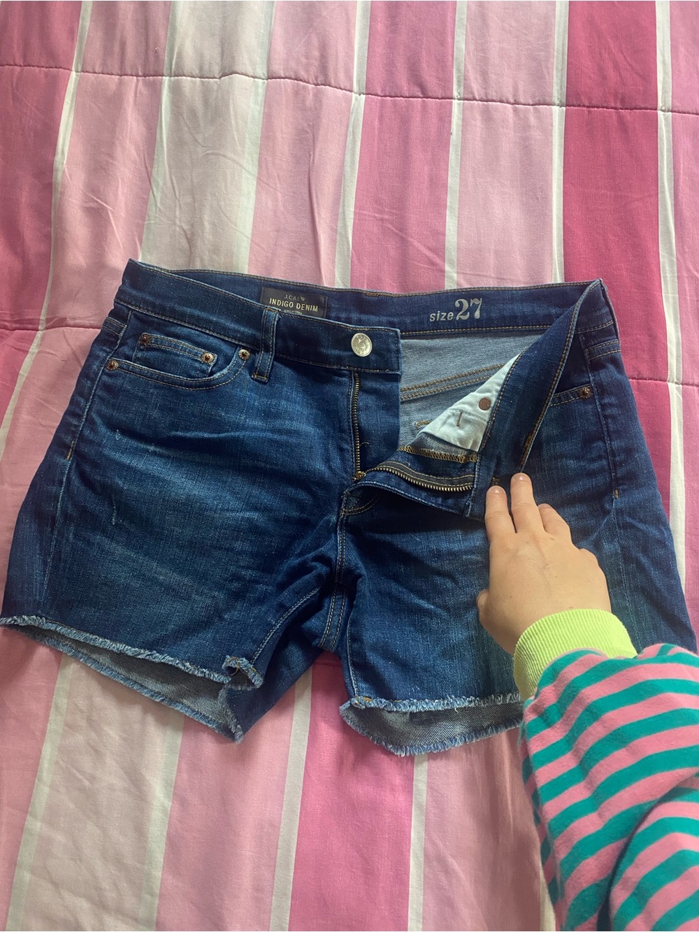 J Crew Size 27 Denim Shorts